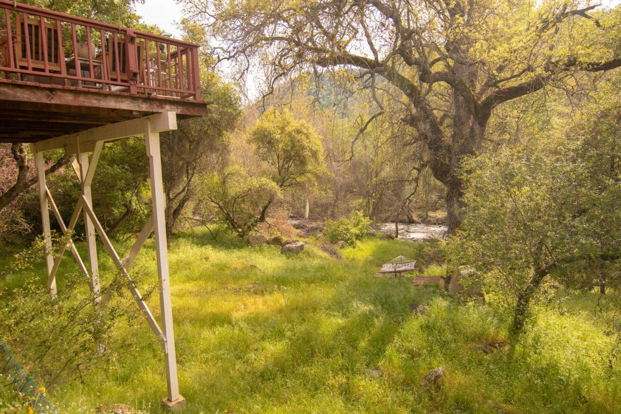 Sequoia South Fork Retreat Villa Three Rivers Ngoại thất bức ảnh